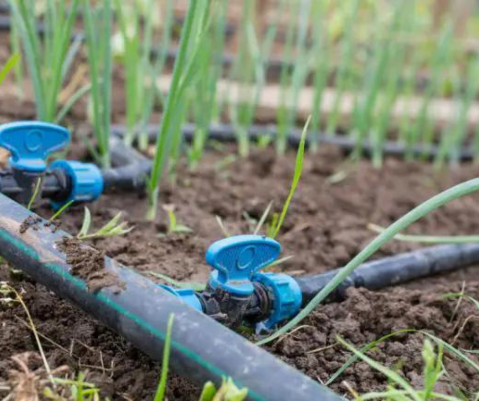 Smart Farming : Irrigation automatique